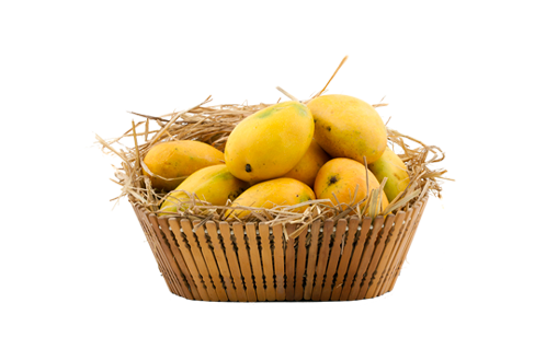 100% Premium Quality Garden Fresh Mango