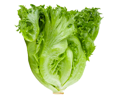 Whole Foods Market, Romaine Hearts Salad Bag Organic